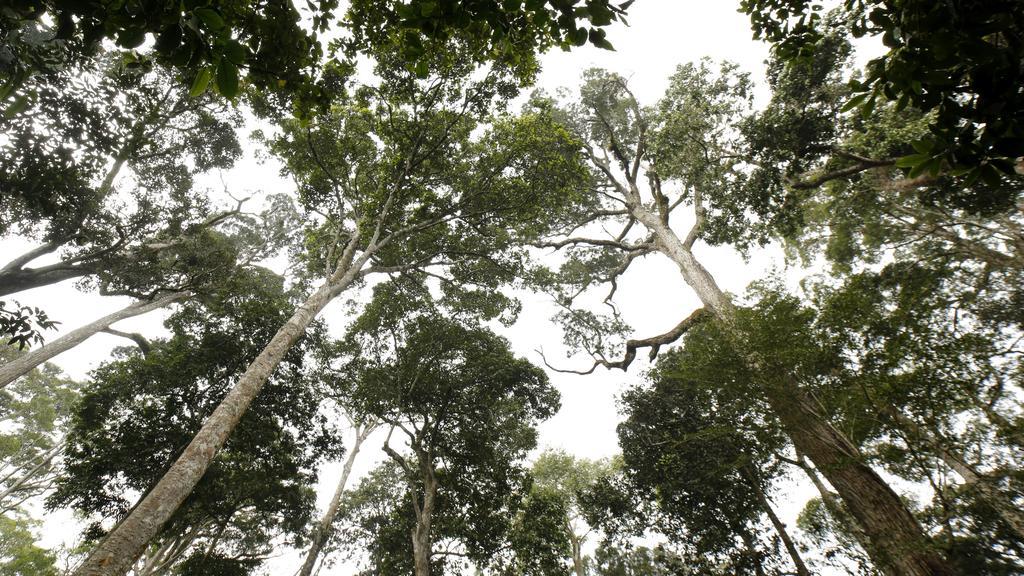 Ecotones Munnar By Eden Environs Hotel Bagian luar foto