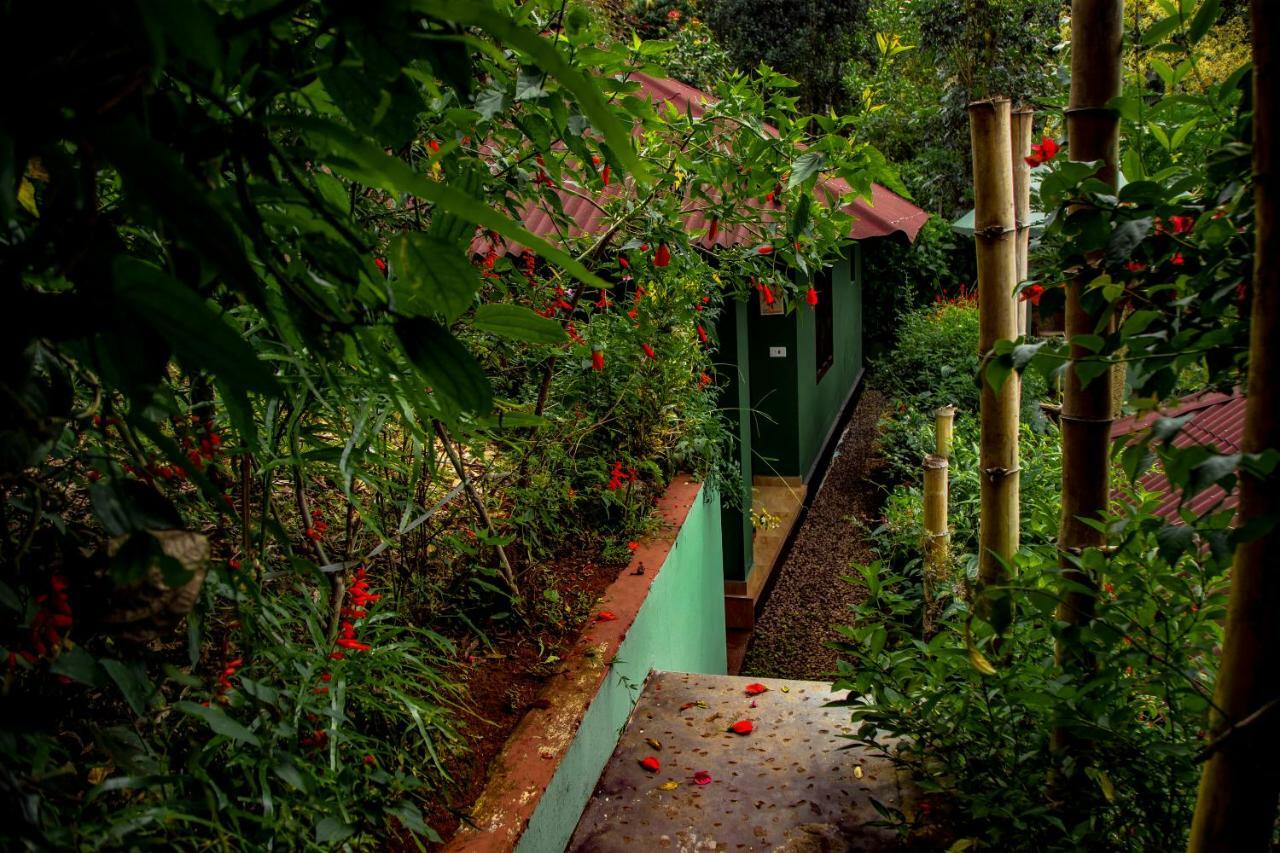 Ecotones Munnar By Eden Environs Hotel Bagian luar foto