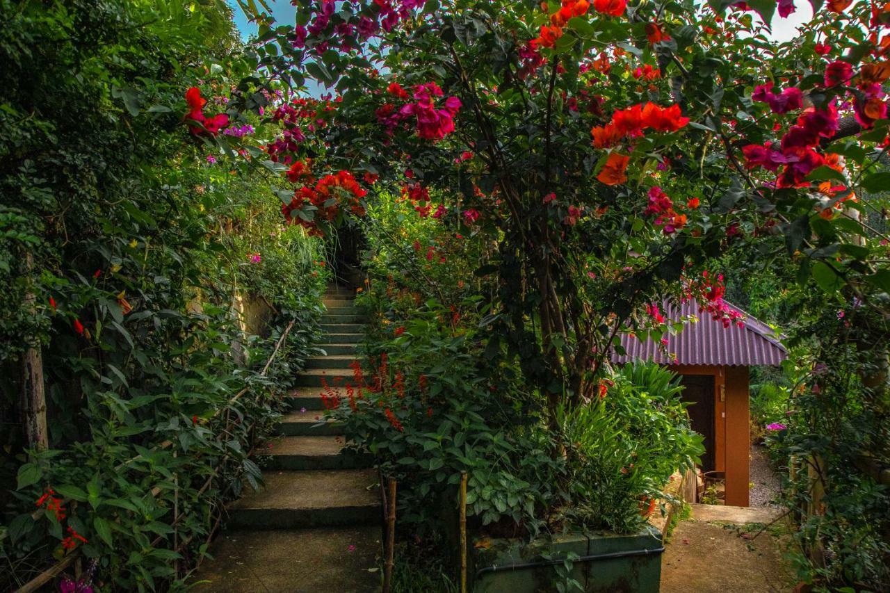 Ecotones Munnar By Eden Environs Hotel Bagian luar foto