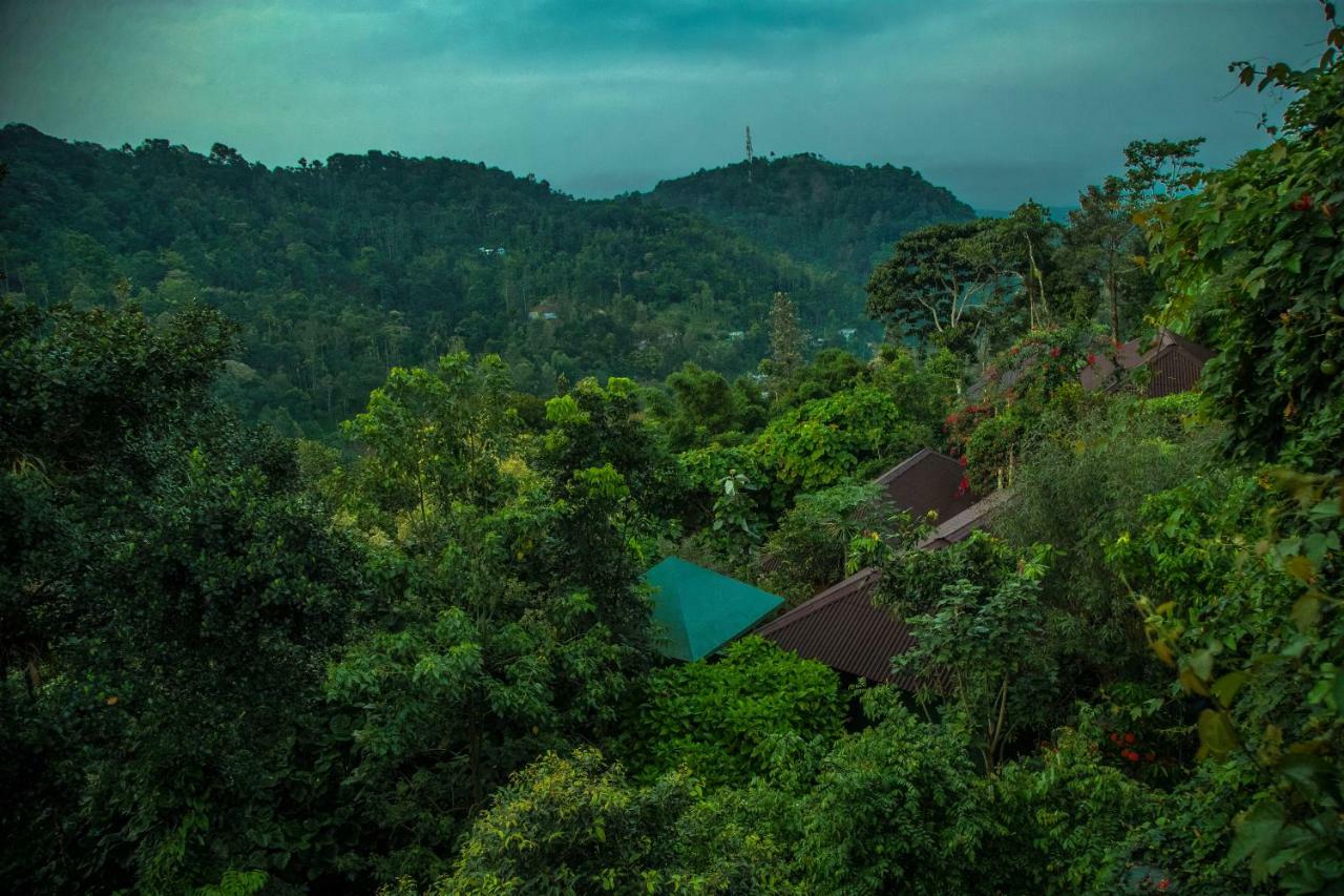 Ecotones Munnar By Eden Environs Hotel Bagian luar foto